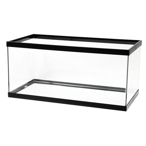 Aqueon 40 Gallon Breeder tank/aquarium - Clear Silicon with black frame  ( Pre-order only!)