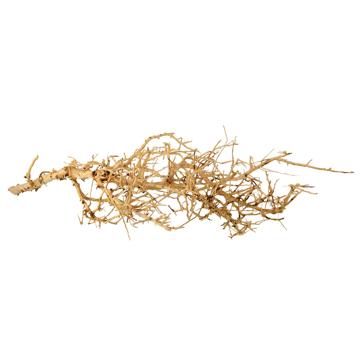 Bird Nest Wood - Medium