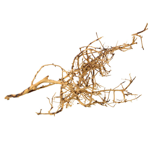 Bird Nest Wood - Small