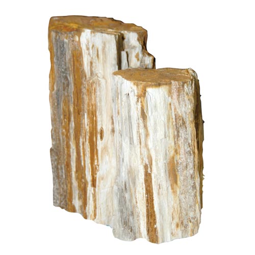 Petrified Wood 4.99/500g