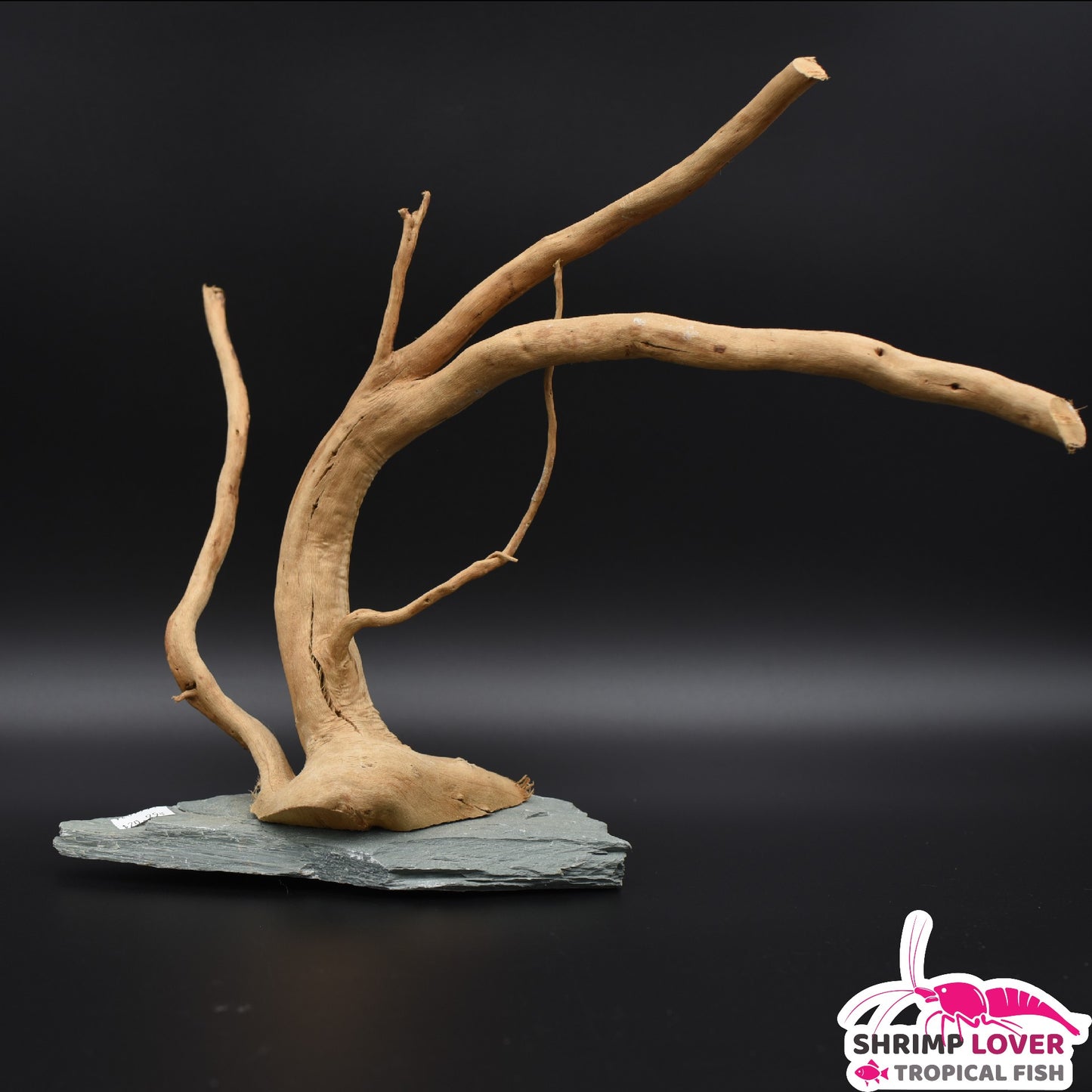 Aquarium Wood-Medium