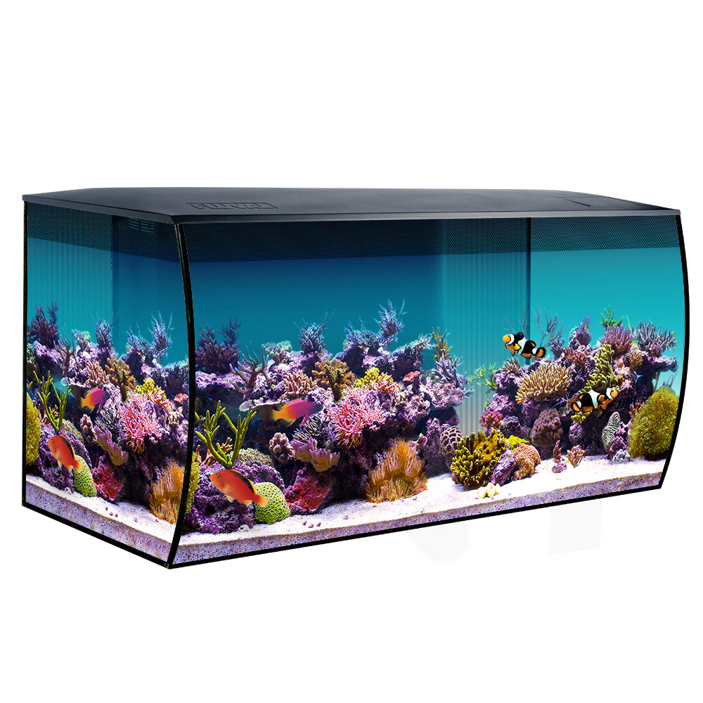 Saltwater aquarium hot sale fish store